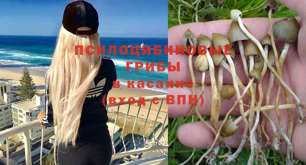 ешки Арсеньев
