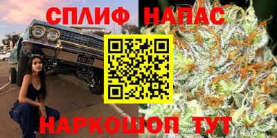 MDMA Славянск-на-Кубани